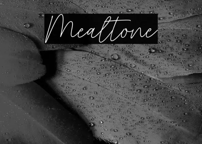 Mealtone Example 1