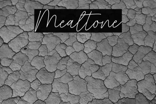 Mealtone Example 2