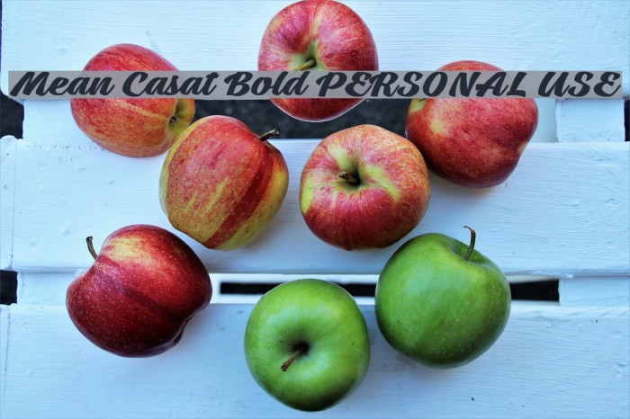 Mean Casat Bold PERSONAL USE Font examples