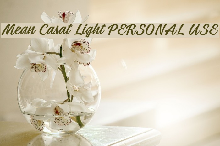 Mean Casat Light PERSONAL USE Font examples