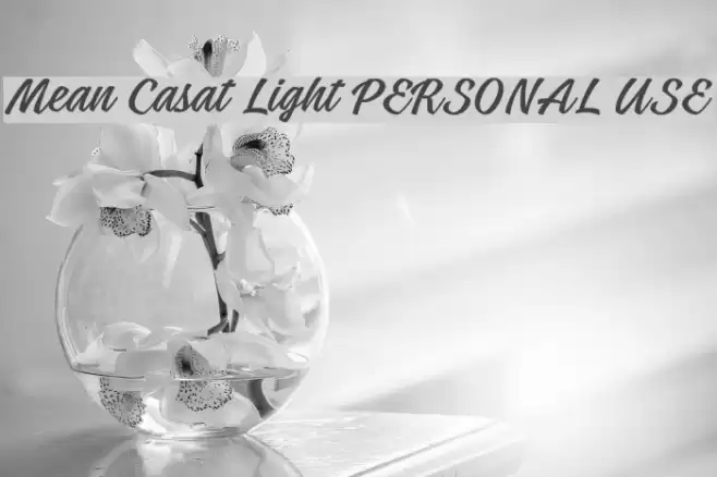 Mean Casat Light PERSONAL USE Font examples