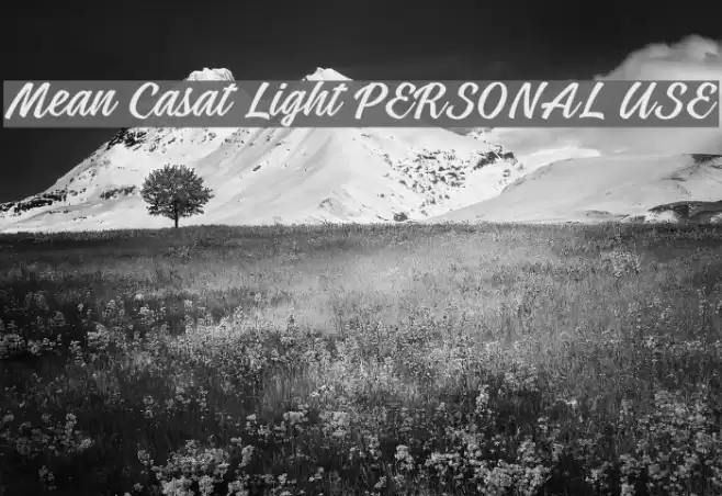 Mean Casat Light PERSONAL USE Font examples
