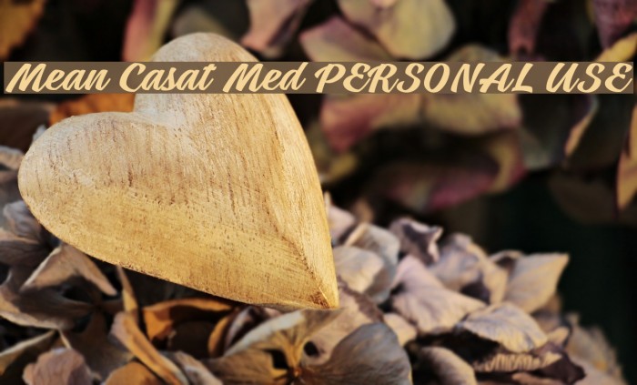 Mean Casat Med PERSONAL USE Font examples