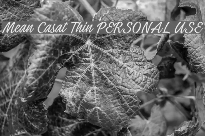 Mean Casat Thin PERSONAL USE Font examples