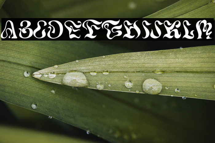 Meander Free Trial Example 1