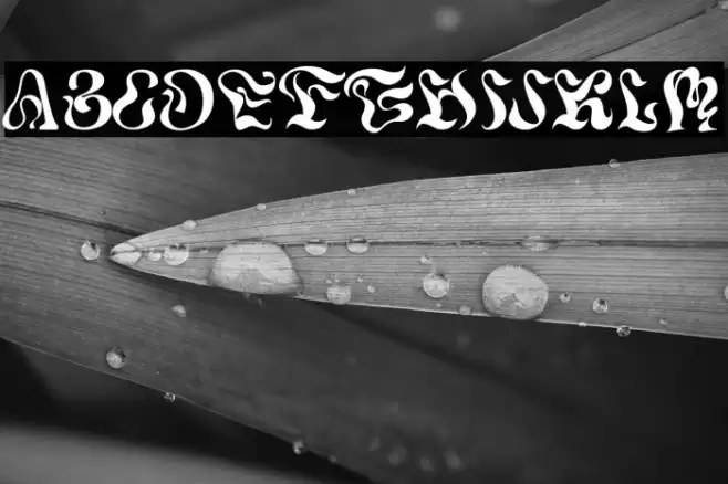 Meander Free Trial Fuentes examples