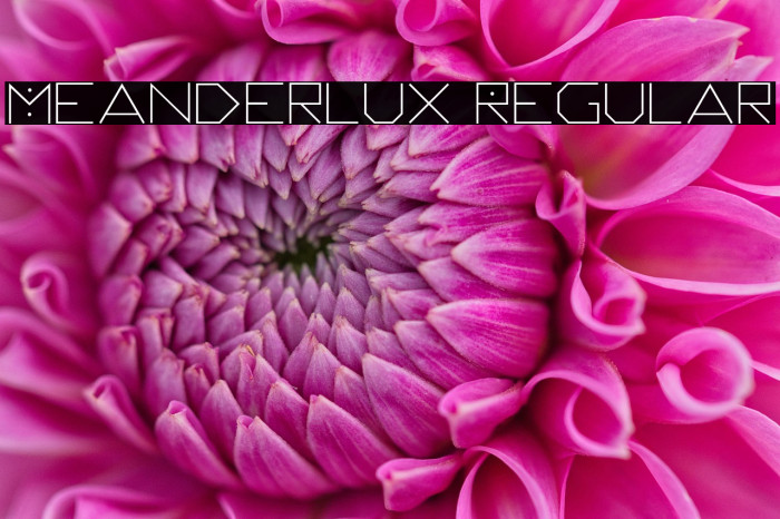 Meanderlux Regular Example 3