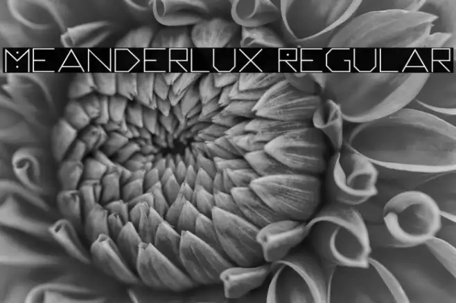 Meanderlux Regular Example 3