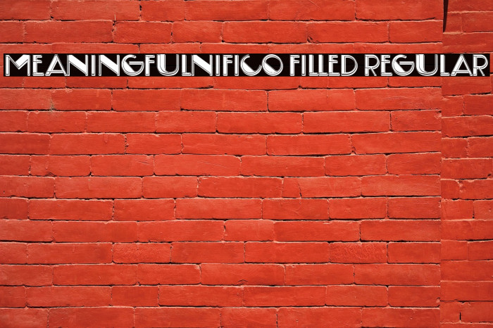 Meaningfulnifico Filled Regular Example 2