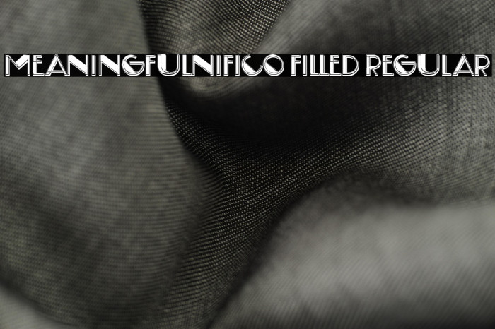 Meaningfulnifico Filled Regular Example 3