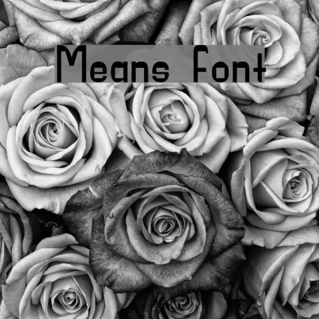 Means Font examples