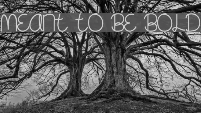 Meant To Be Bold Example 2