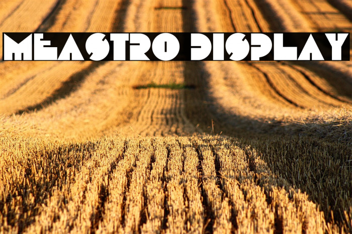 Meastro Display Example 1