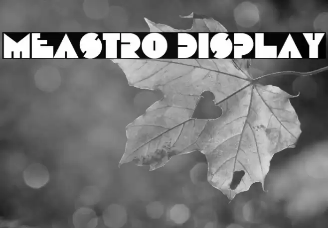 Meastro Display خط examples