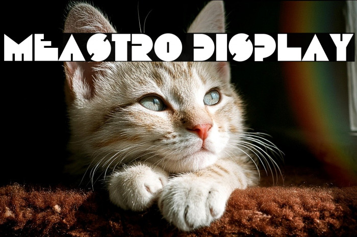 Meastro Display Example 3