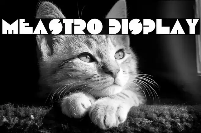 Meastro Display خط examples