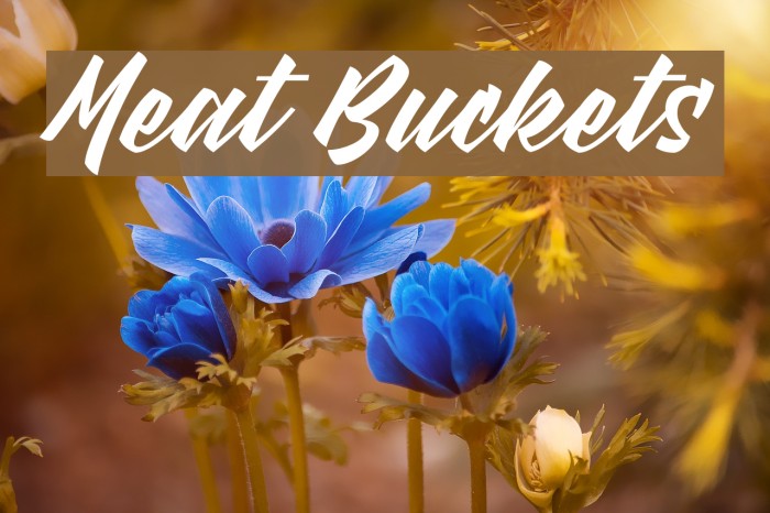Meat Buckets Font examples