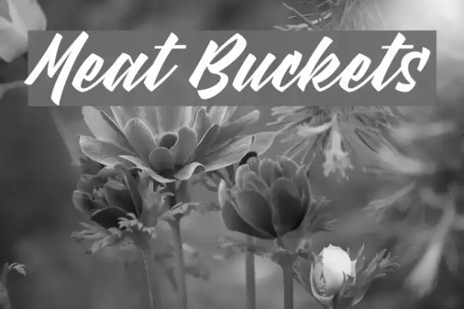 Meat Buckets Example 1