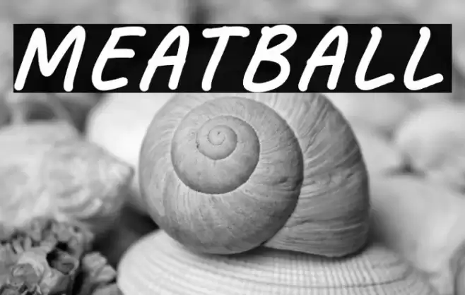 Meatball Caratteri examples