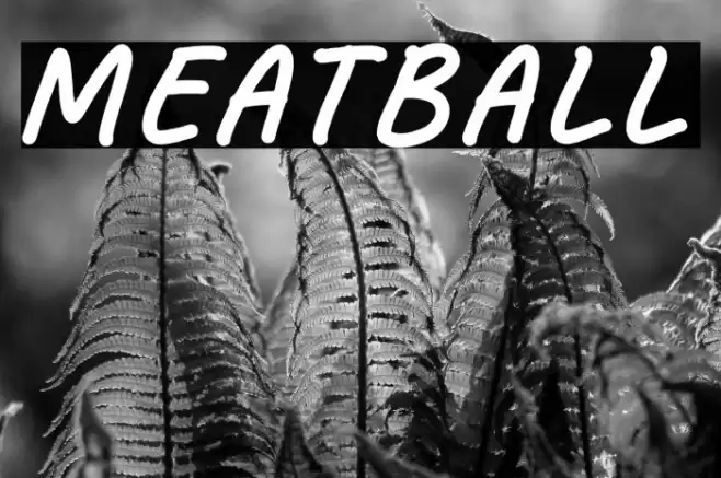 Meatball Caratteri examples