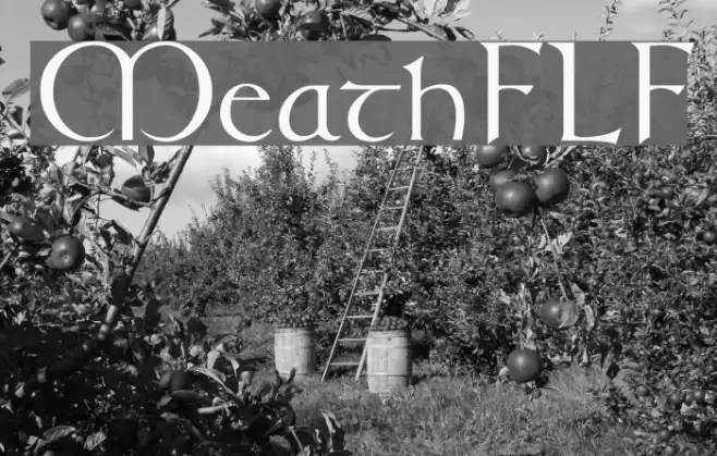 MeathFLF Font examples