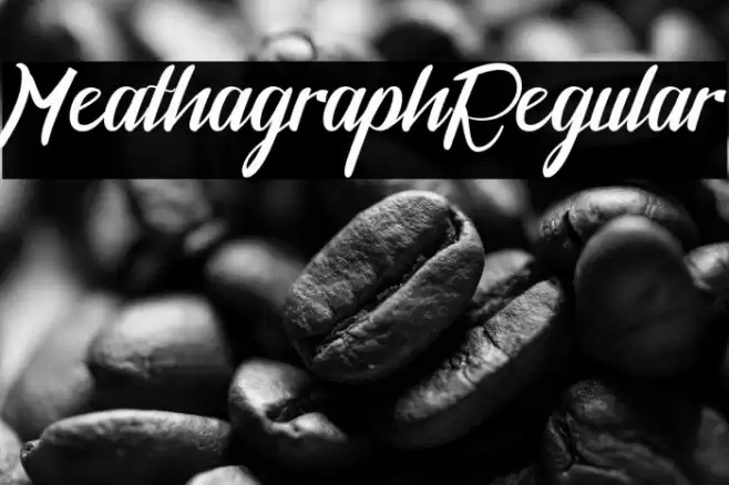 MeathagraphRegular Font examples