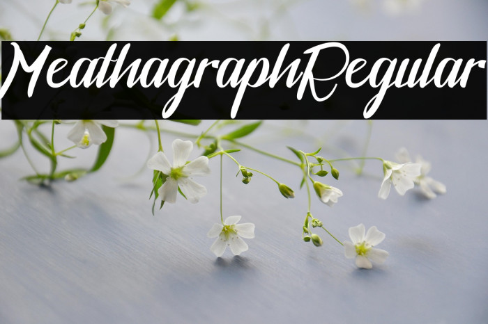 MeathagraphRegular Example 2