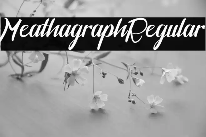 MeathagraphRegular Font examples