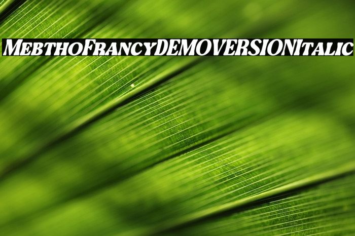 Mebtho Francy DEMO VERSION Italic Example 1