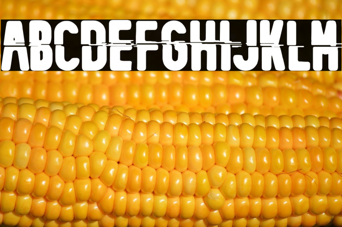 Mecanico Industrial Example 2