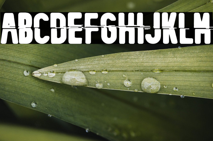 Mecanico Industrial Example 3