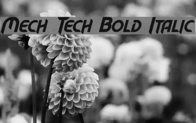 Mech Tech Bold Italic Font examples