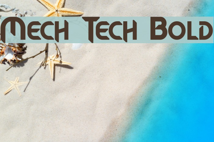 Mech Tech Bold Font examples