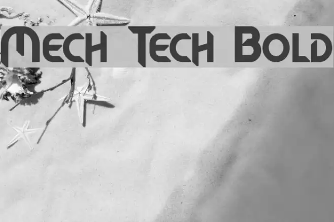 Mech Tech Bold Example 1