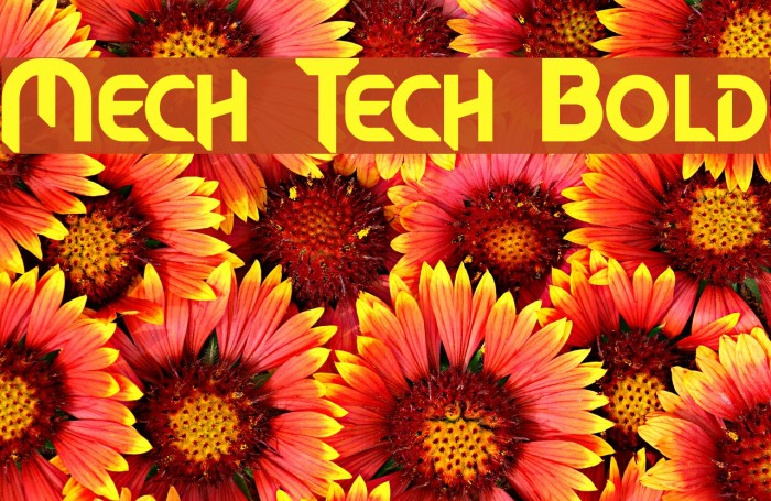 Mech Tech Bold Font examples