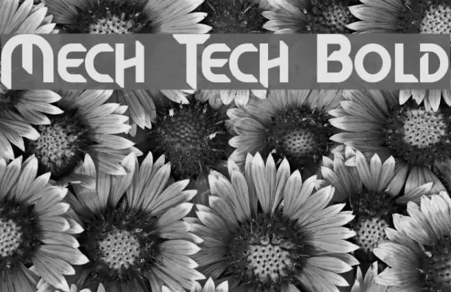 Mech Tech Bold Example 2