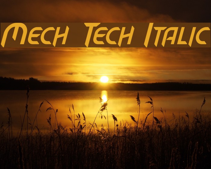 Mech Tech Italic Font examples