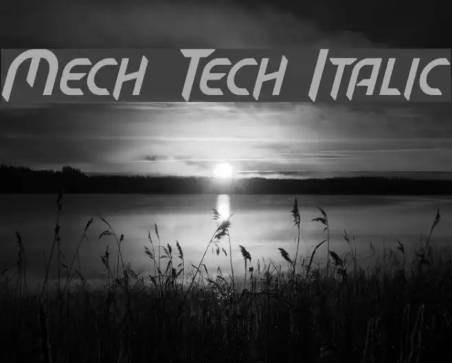 Mech Tech Italic Example 1