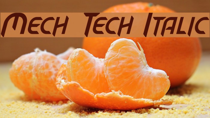 Mech Tech Italic Font examples