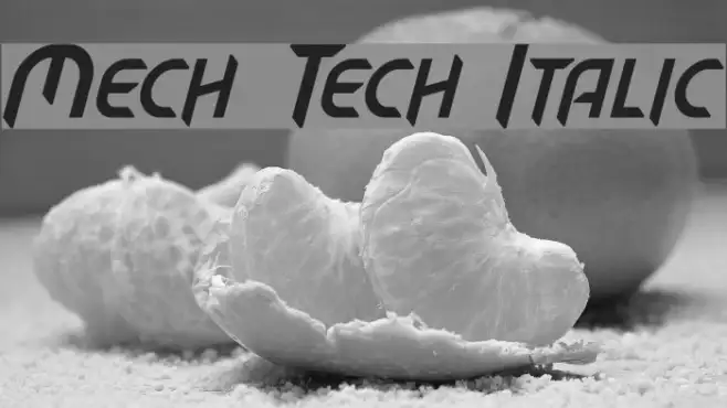 Mech Tech Italic Example 2
