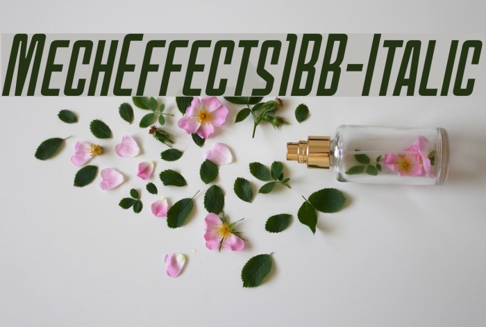 MechEffects1BB-Italic Example 2