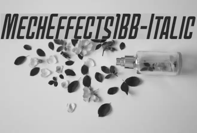 MechEffects1BB-Italic Font examples
