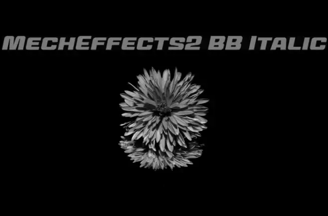 MechEffects2 BB Italic Font examples