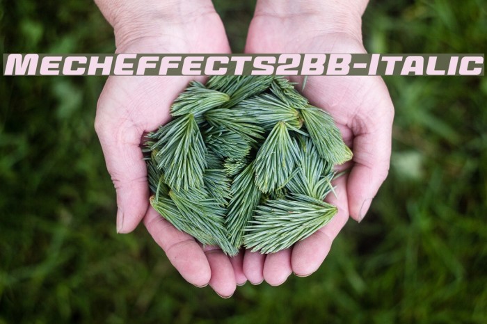 MechEffects2BB-Italic Font examples