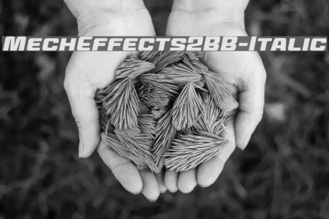 MechEffects2BB-Italic Font examples