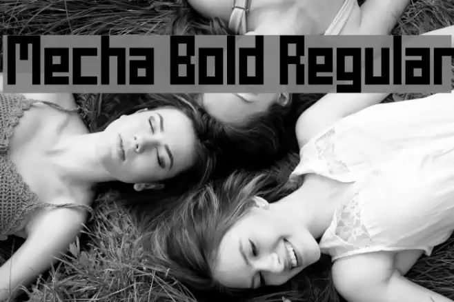 Mecha Bold Regular Font examples