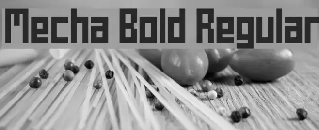 Mecha Bold Regular Font examples