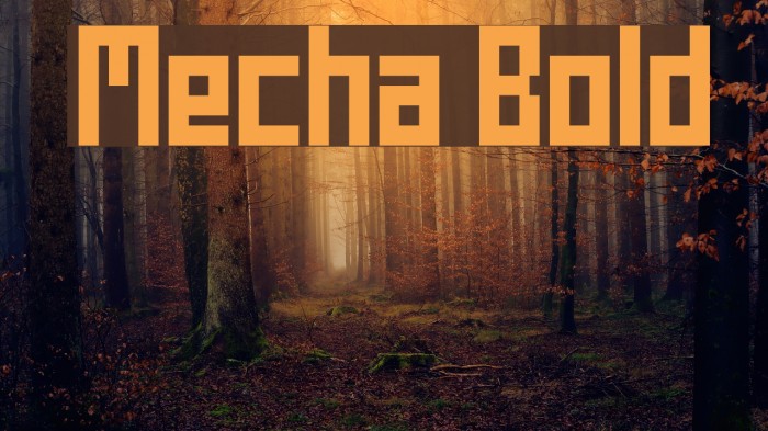 Mecha Bold Font examples