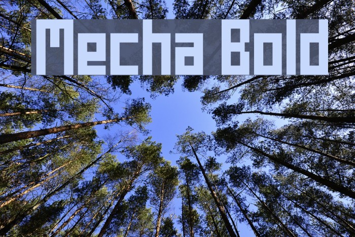 Mecha Bold Font examples