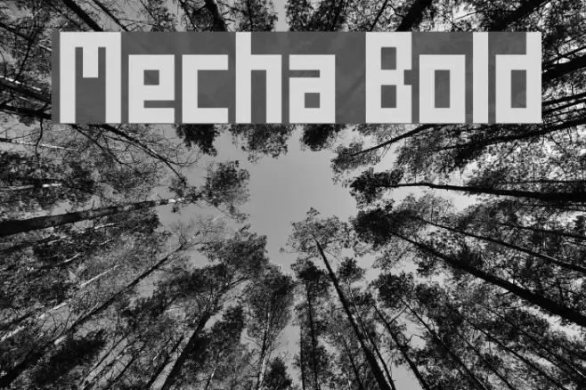 Mecha Bold Example 3